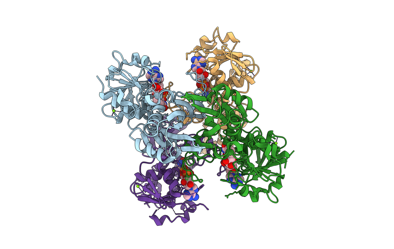 5V8X image