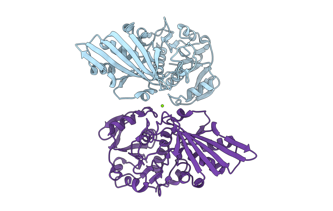 5V8Y image