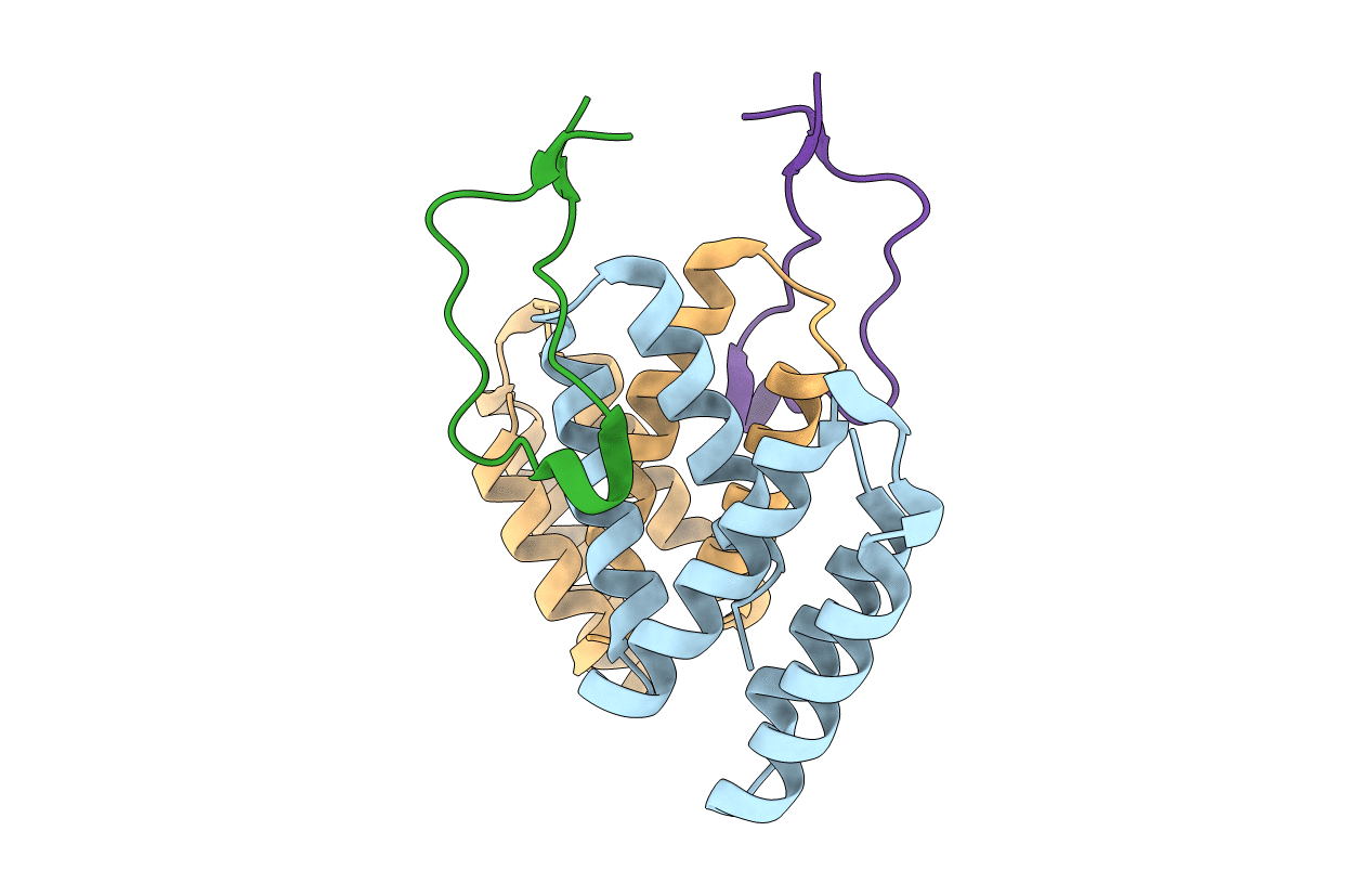 5V8Z image