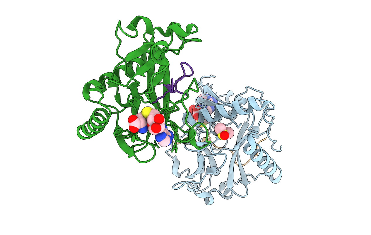 5VBC image