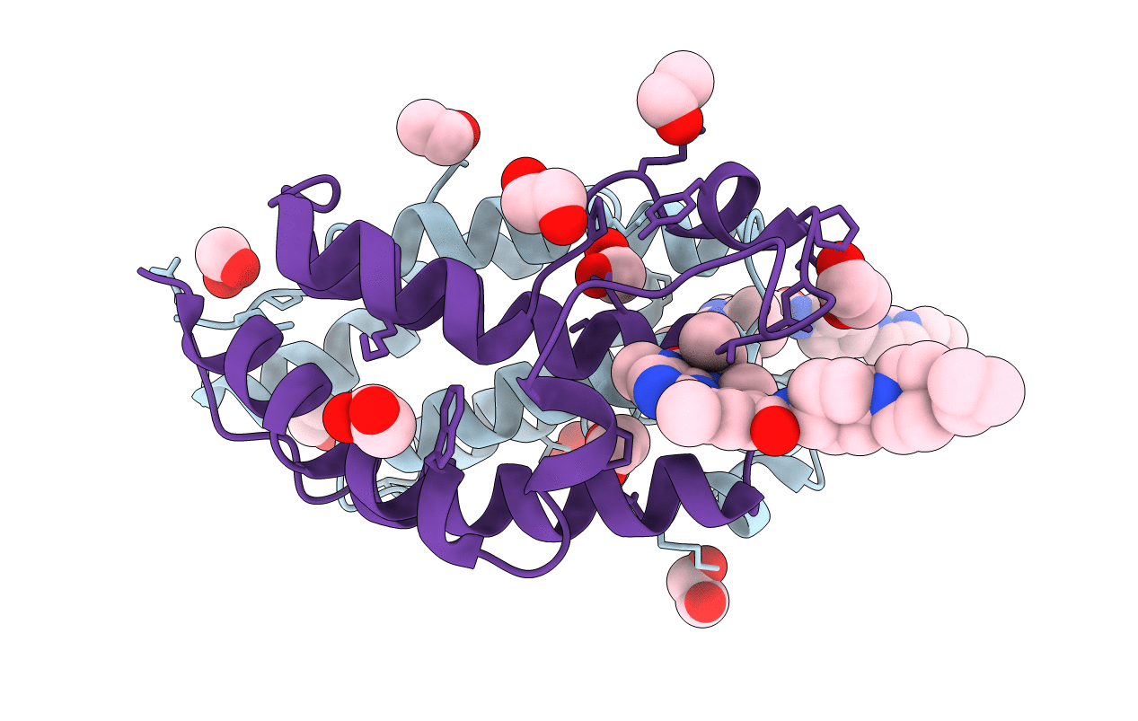 5VBR image