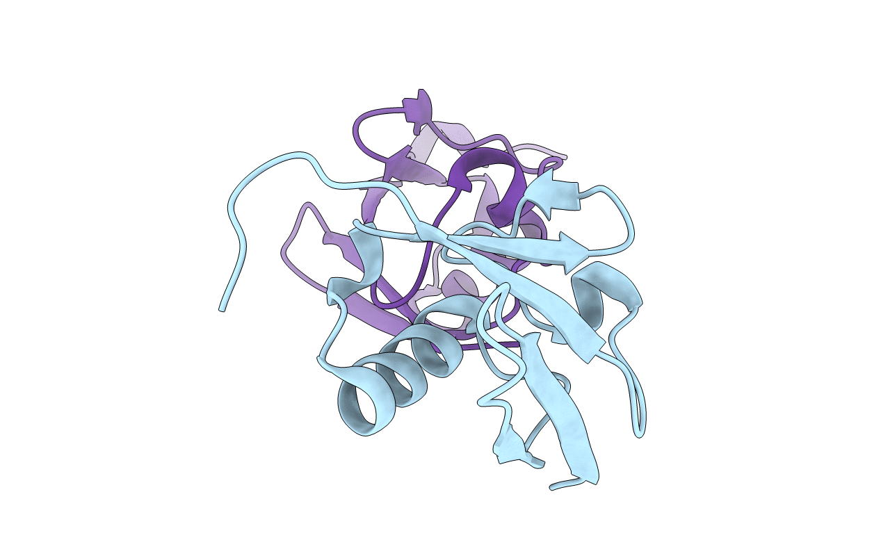 5VBT image