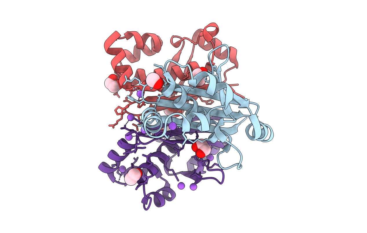 5VBX image
