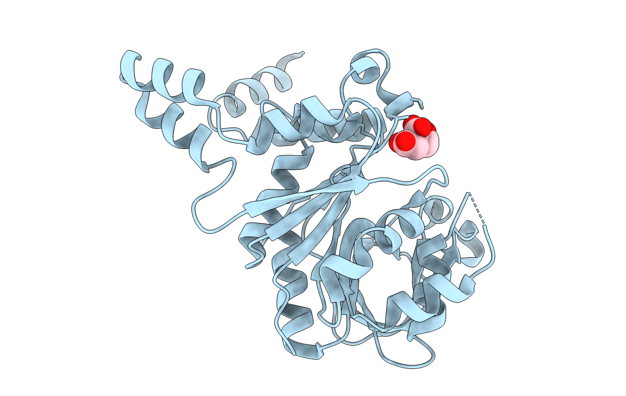 5VCT image