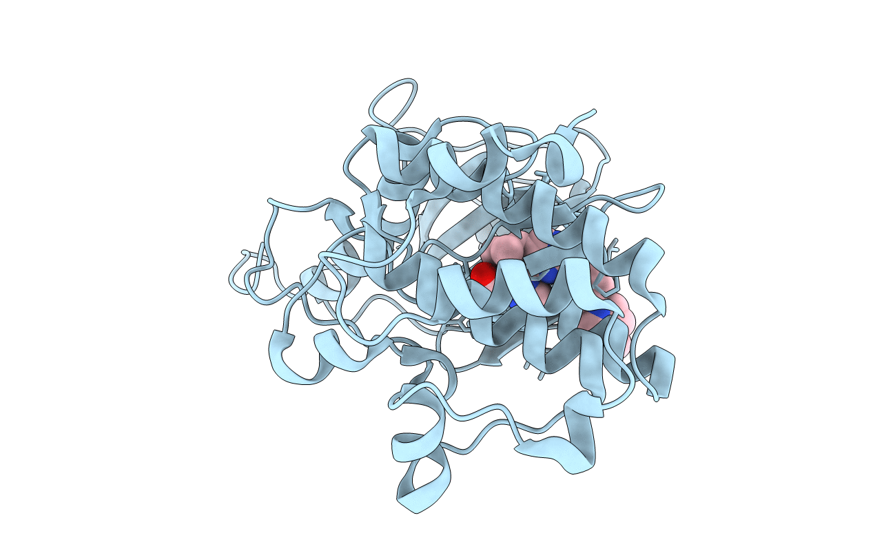 5VD1 image