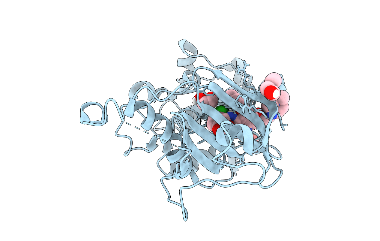 5VD3 image