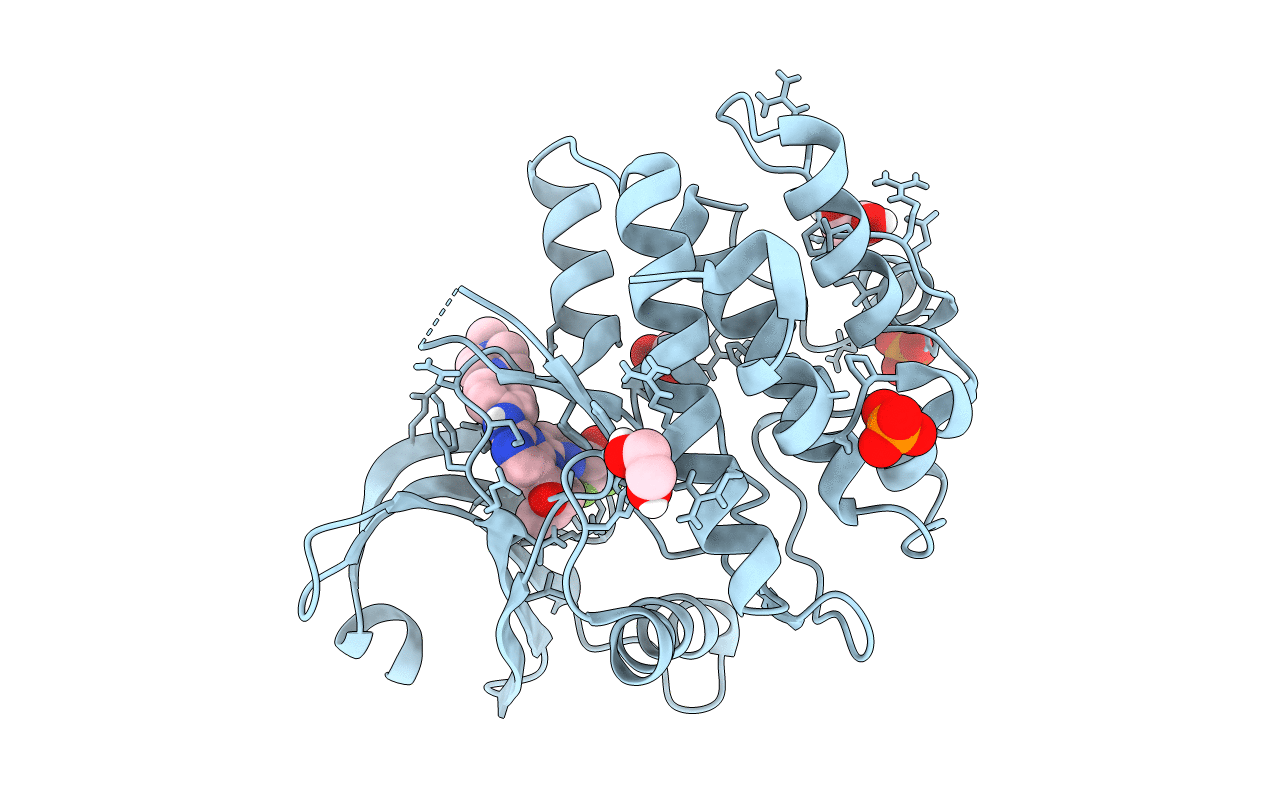 5VD4 image