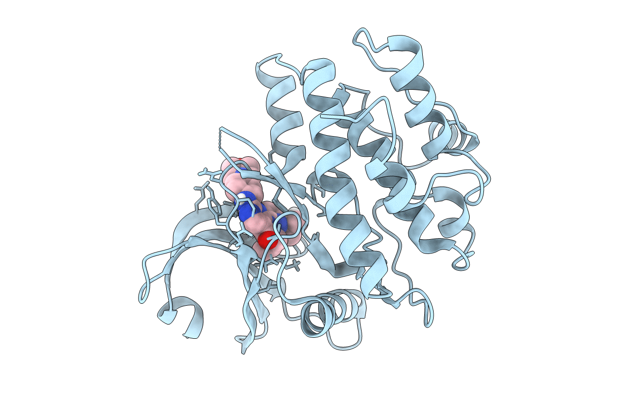 5VD5 image