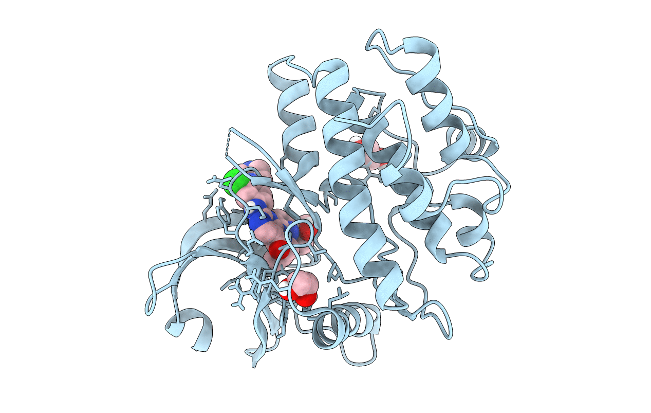 5VD8 image