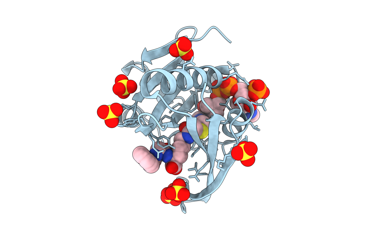 5VDB image