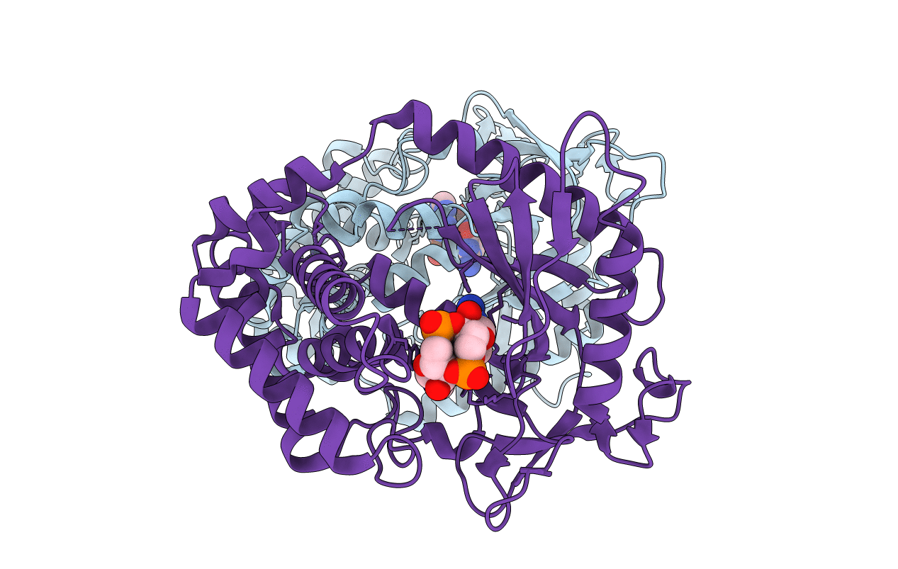 5VDT image