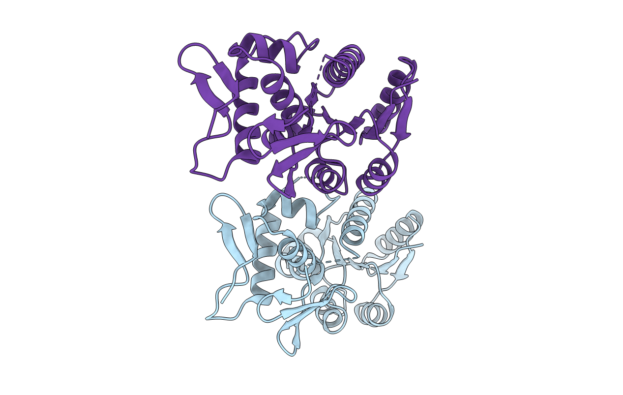 5VFA image