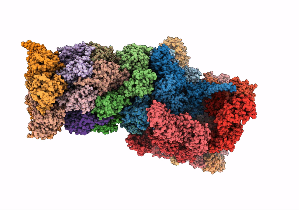 5VFP image