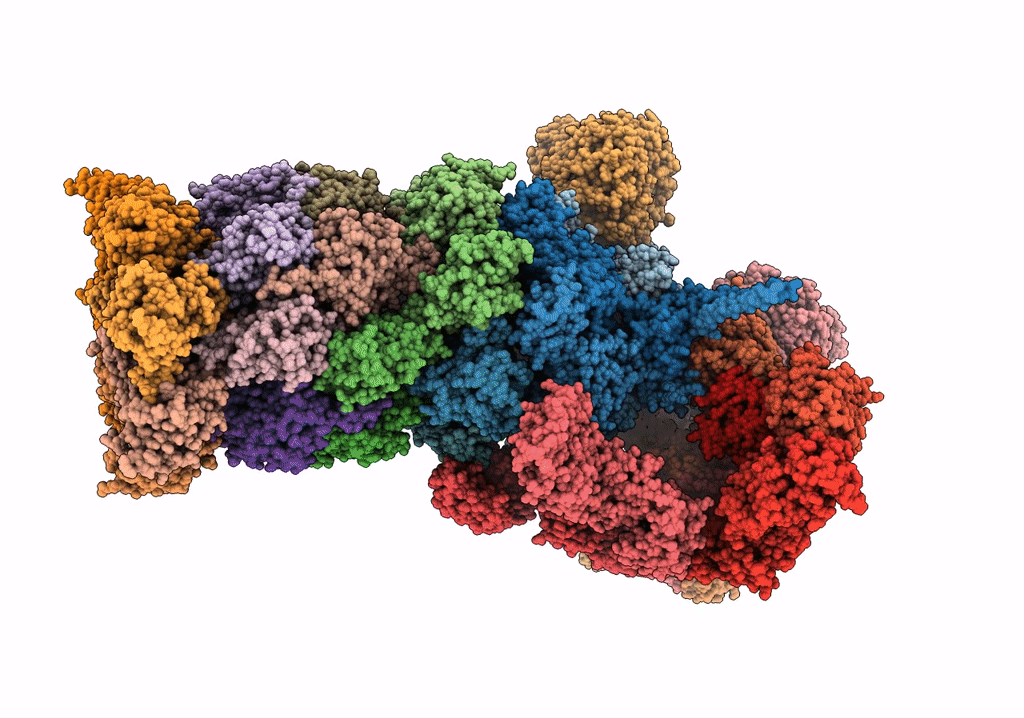5VFS image