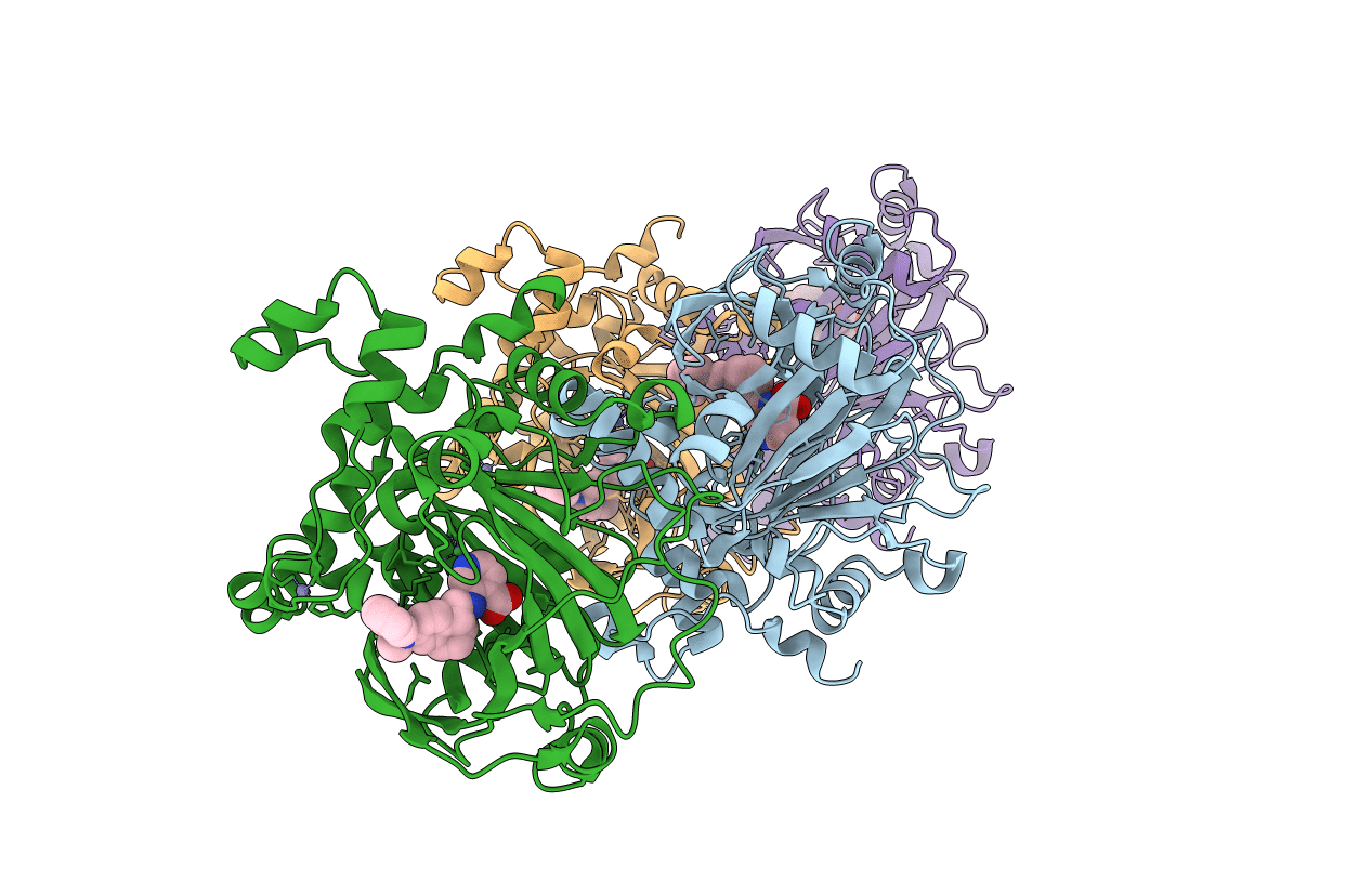 5VGI image