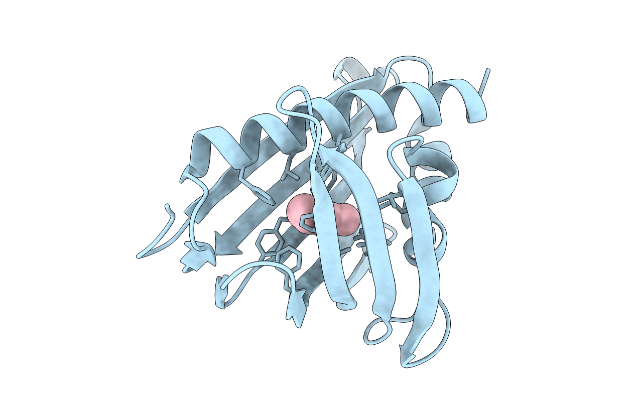 5VGS image