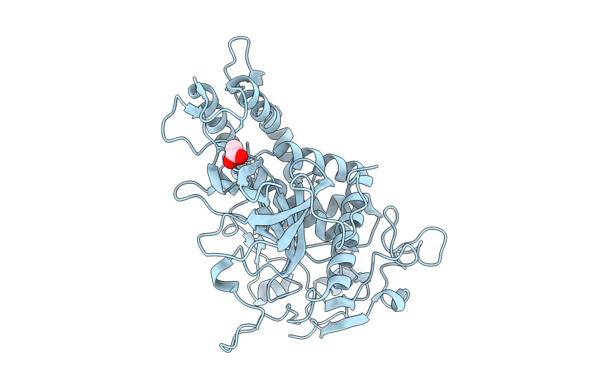 5VGX image