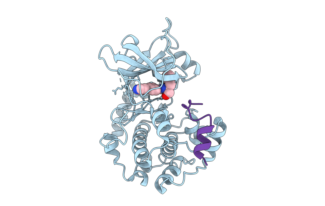 5VHB image