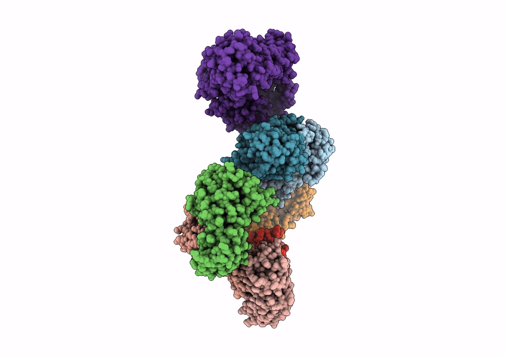 5VHM image
