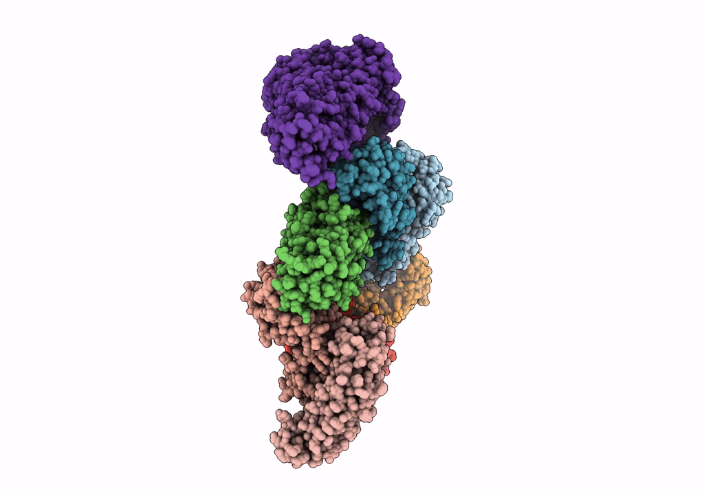 5VHR image