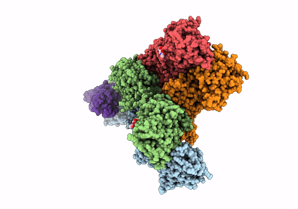 5VHX image