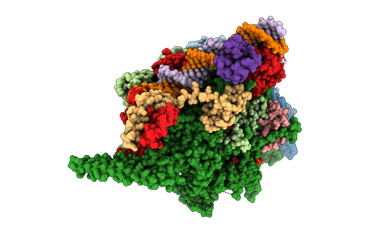 5VI8 image