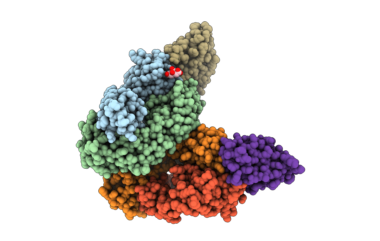 5VIG image