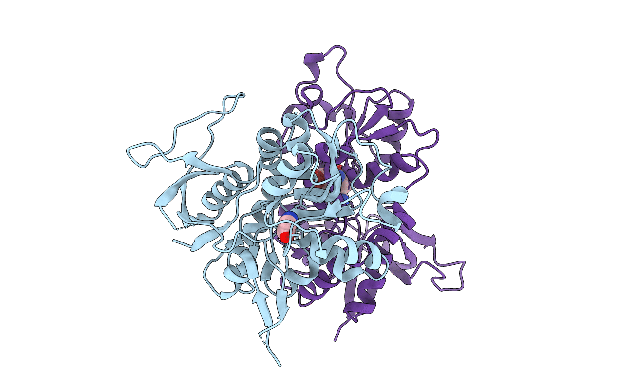 5VIJ image