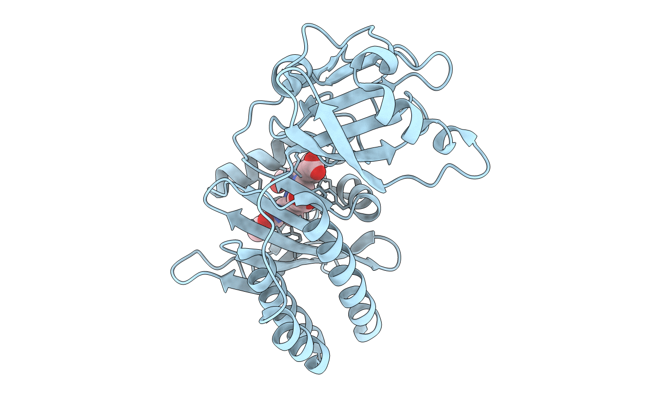 5VIQ image