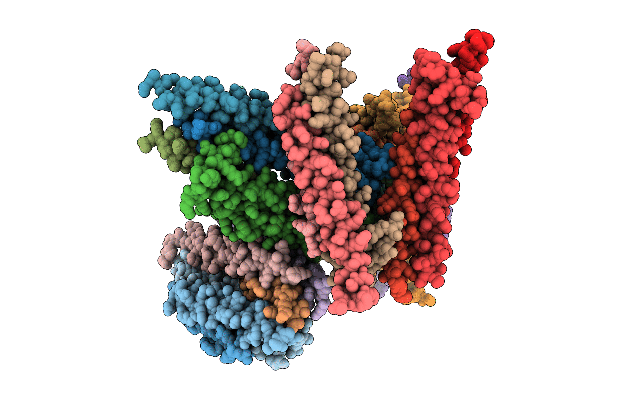 5VJX image