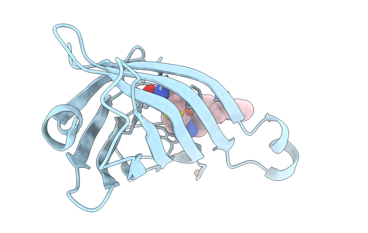 5VL5 image