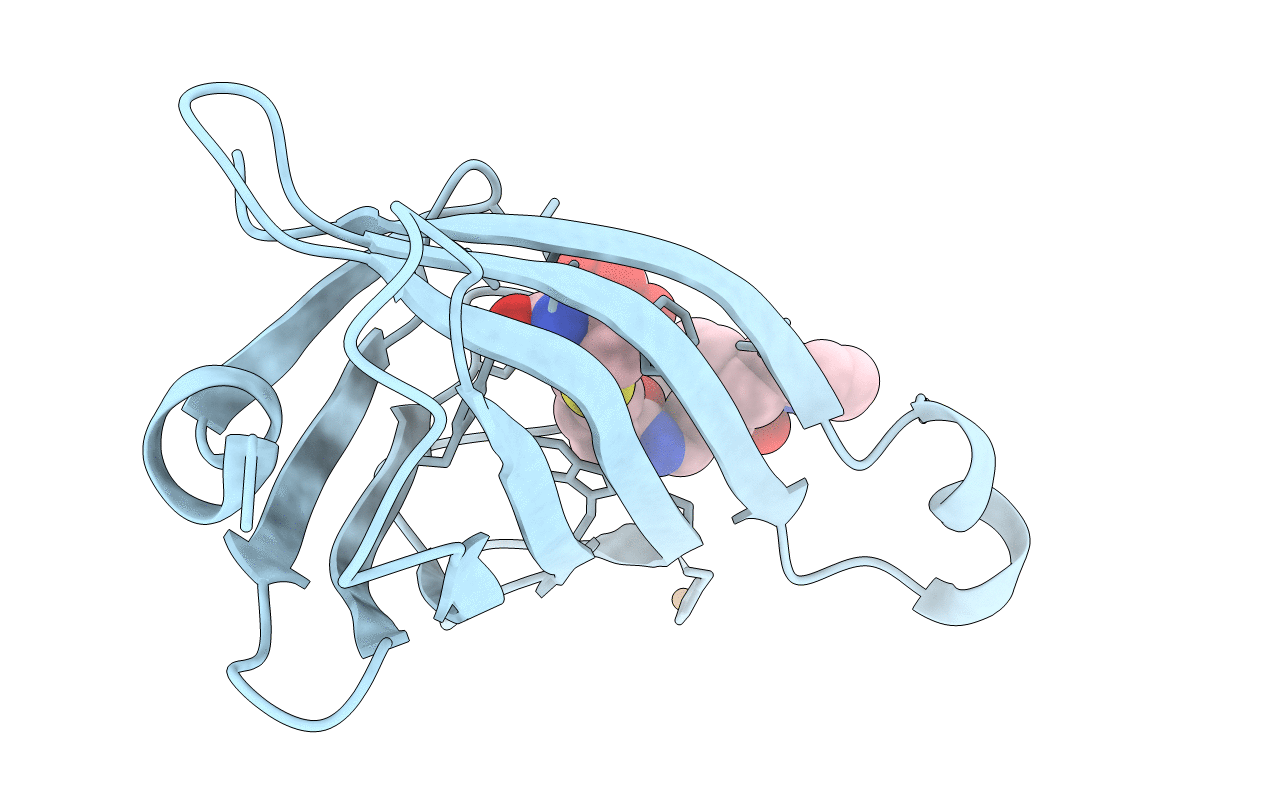 5VL8 image
