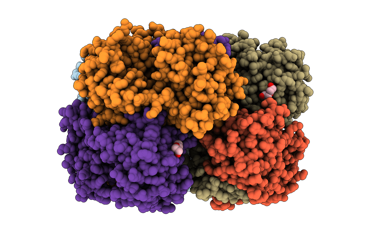 5VLB image