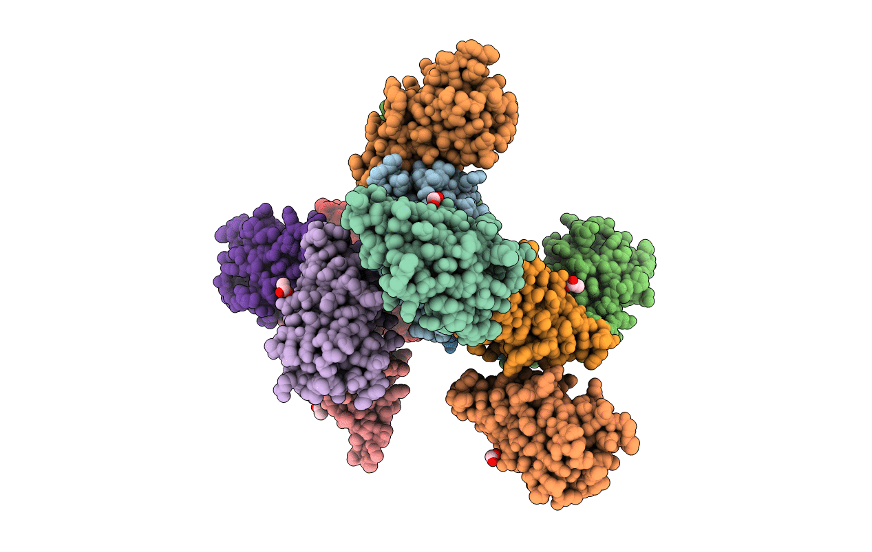 5VM4 image