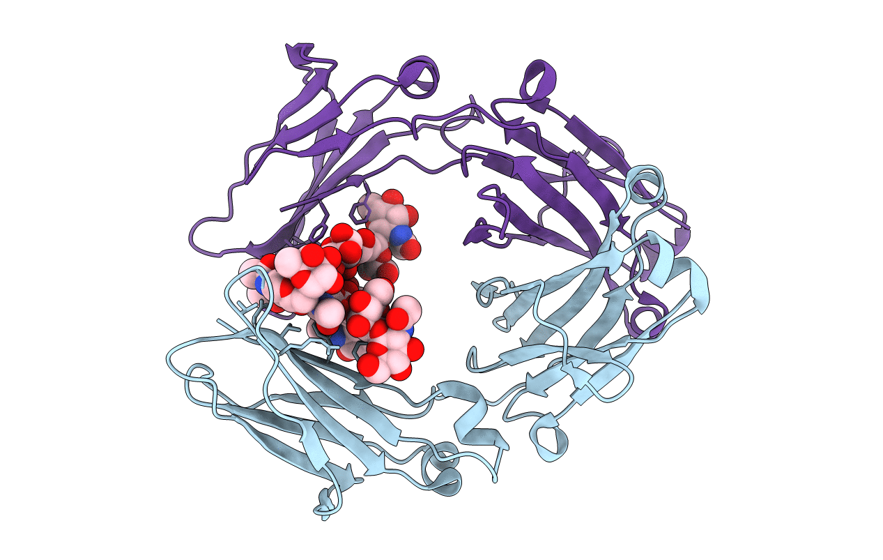 5VME image