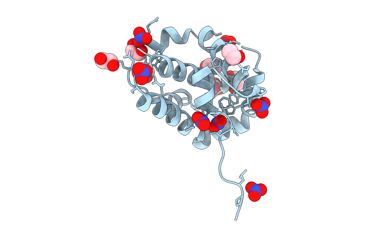 5VMN image