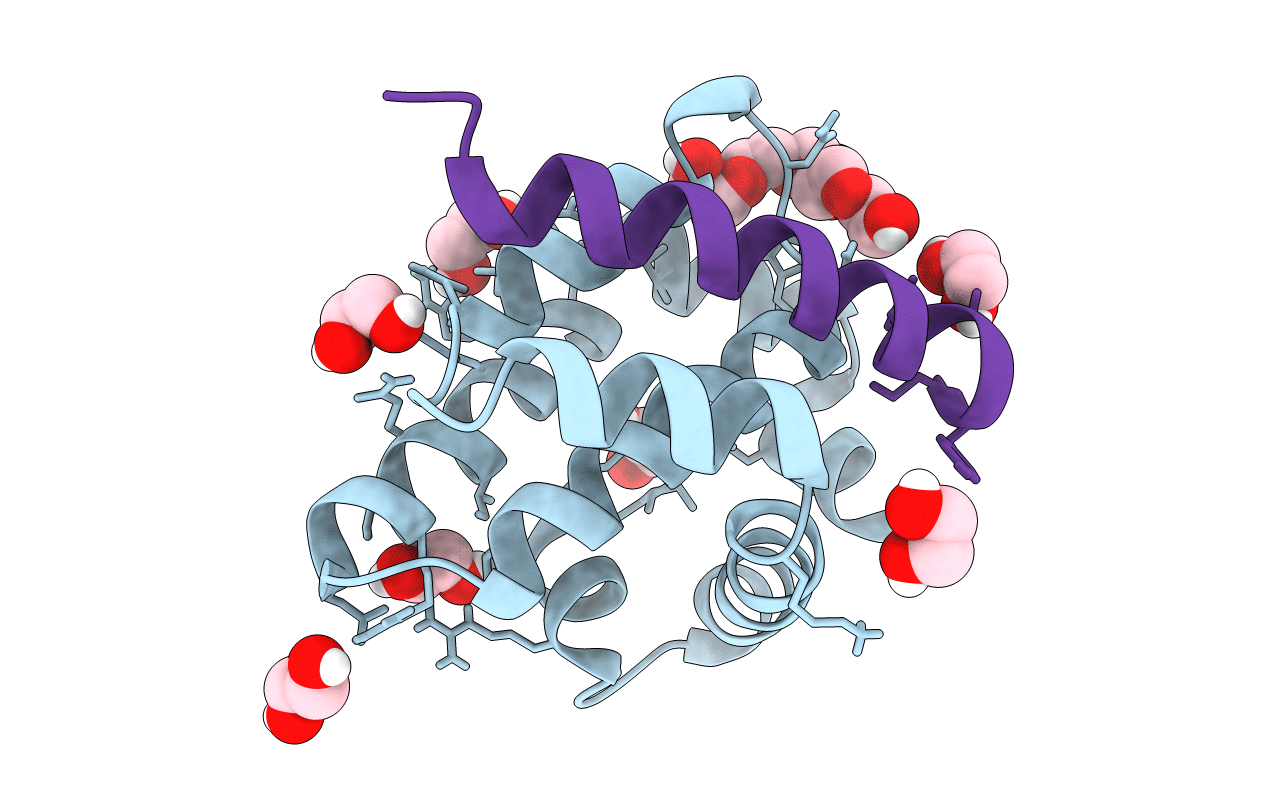 5VMO image