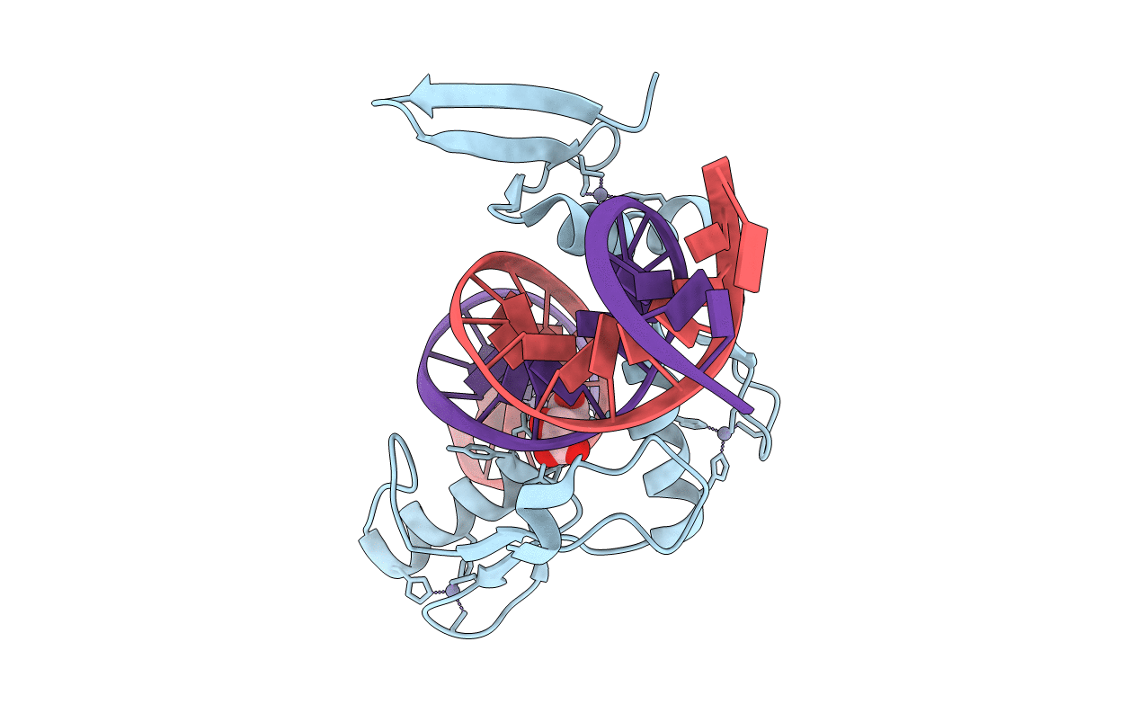 5VMZ image