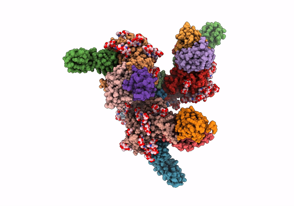 5vn3 image