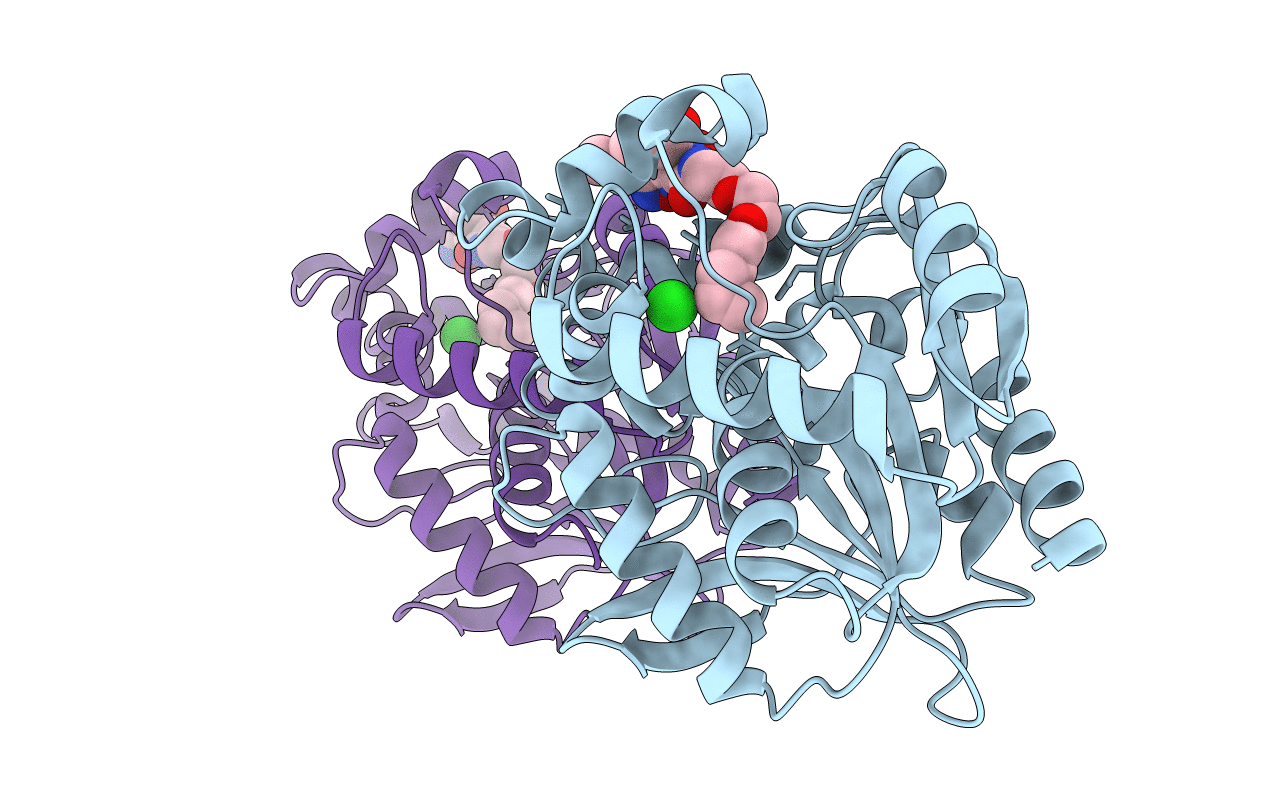 5VNP image