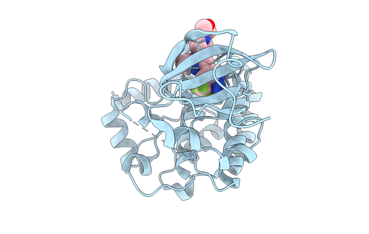 5VO2 image