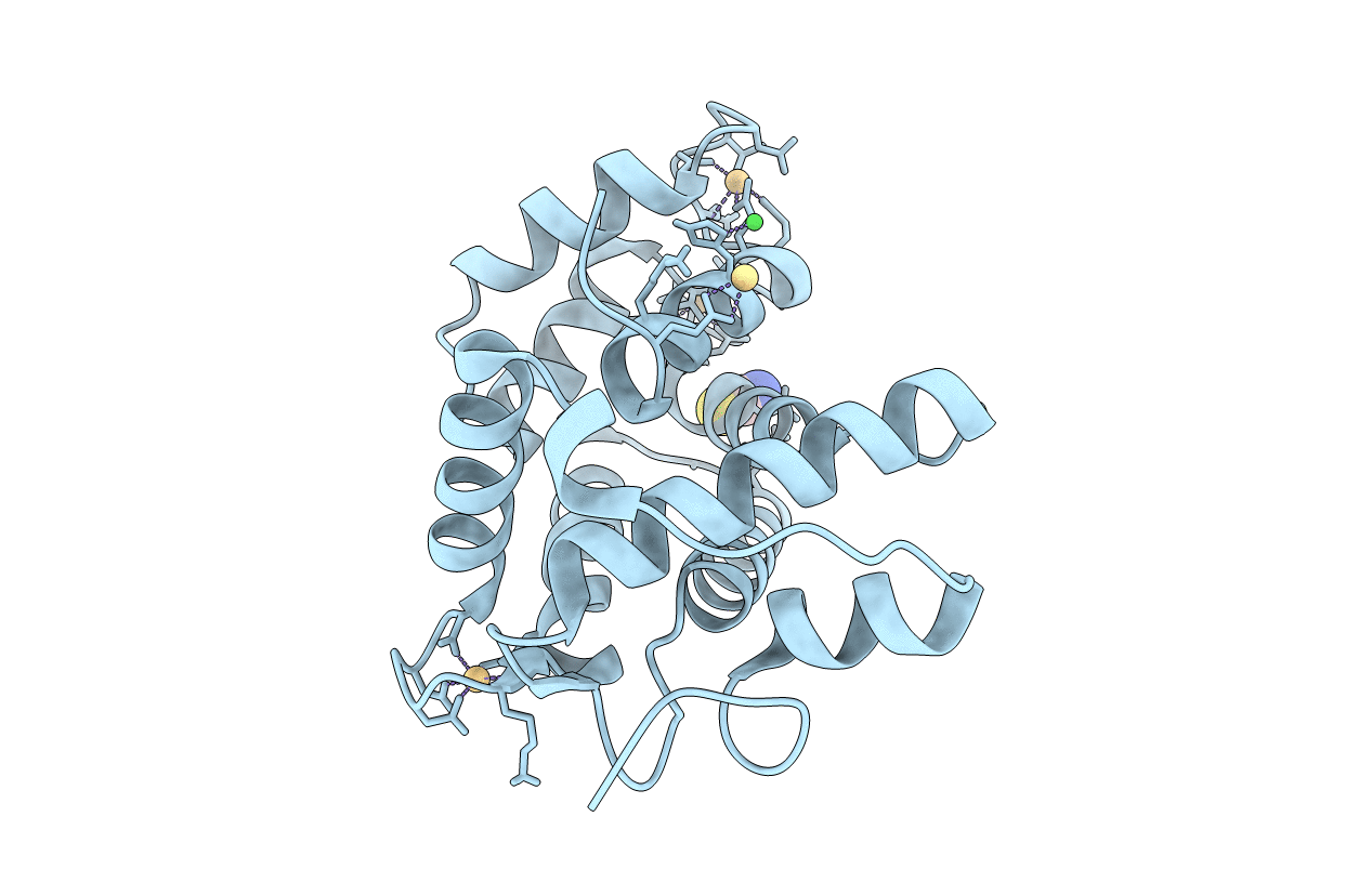 5VP3 image