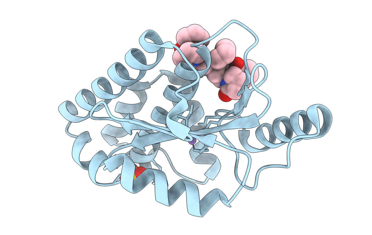 5VP8 image