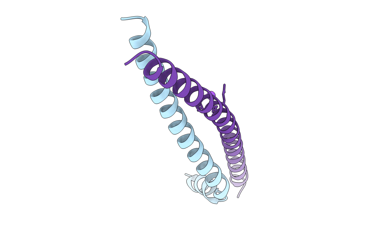 5VPA image
