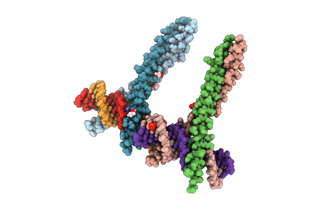 5VPF image
