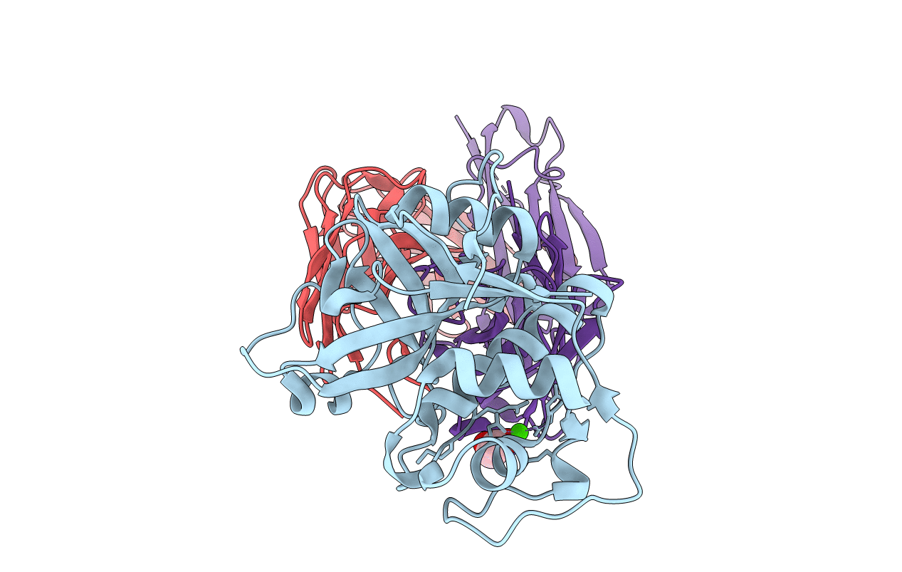 5VPH image