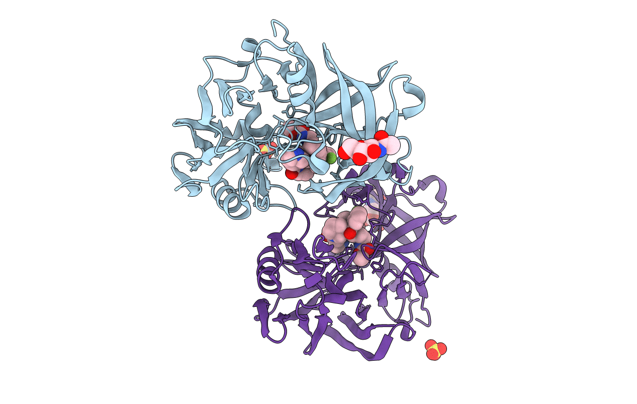 5VPM image