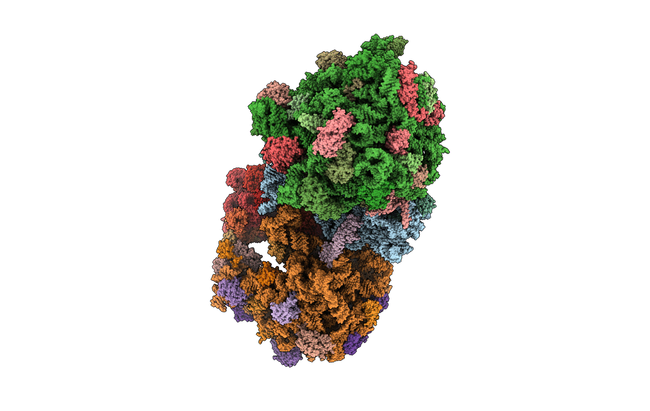 5VPP image
