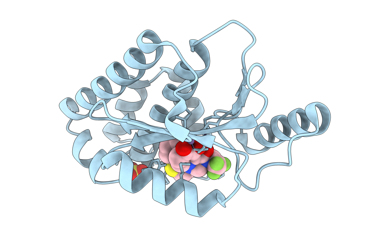 5vpt image
