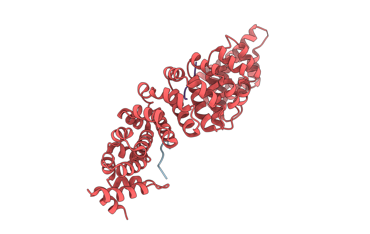5VQI image